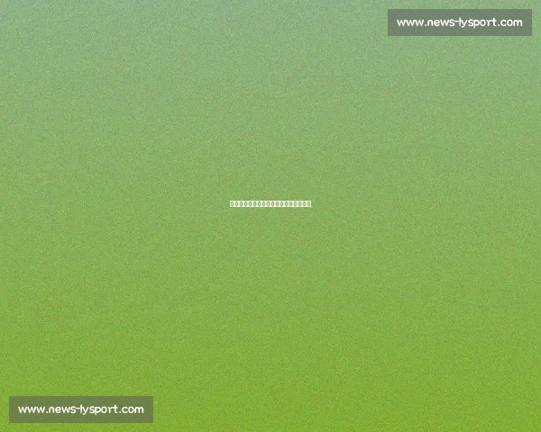 德甲中国球员足迹：前辈与现役球员表现